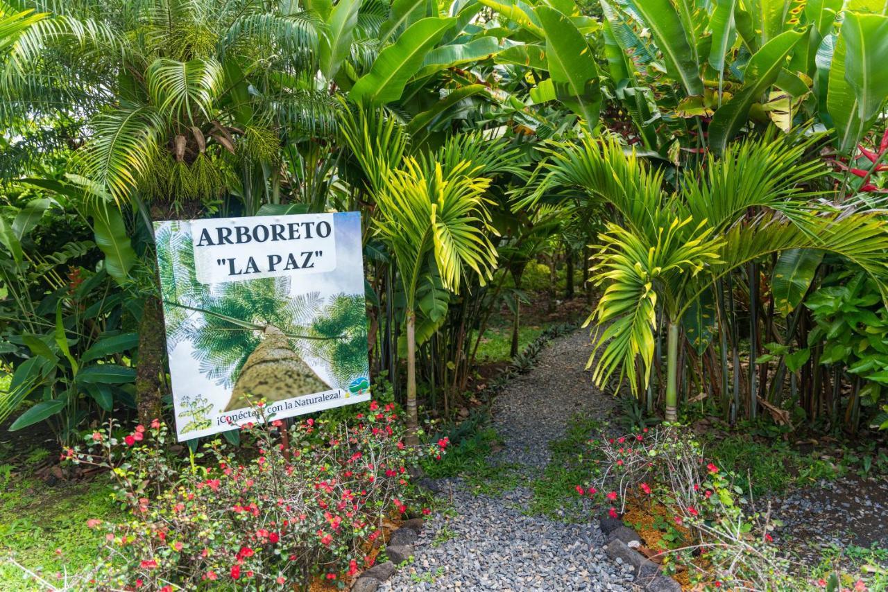 Hotel Vista Del Cerro La Fortuna Exterior photo